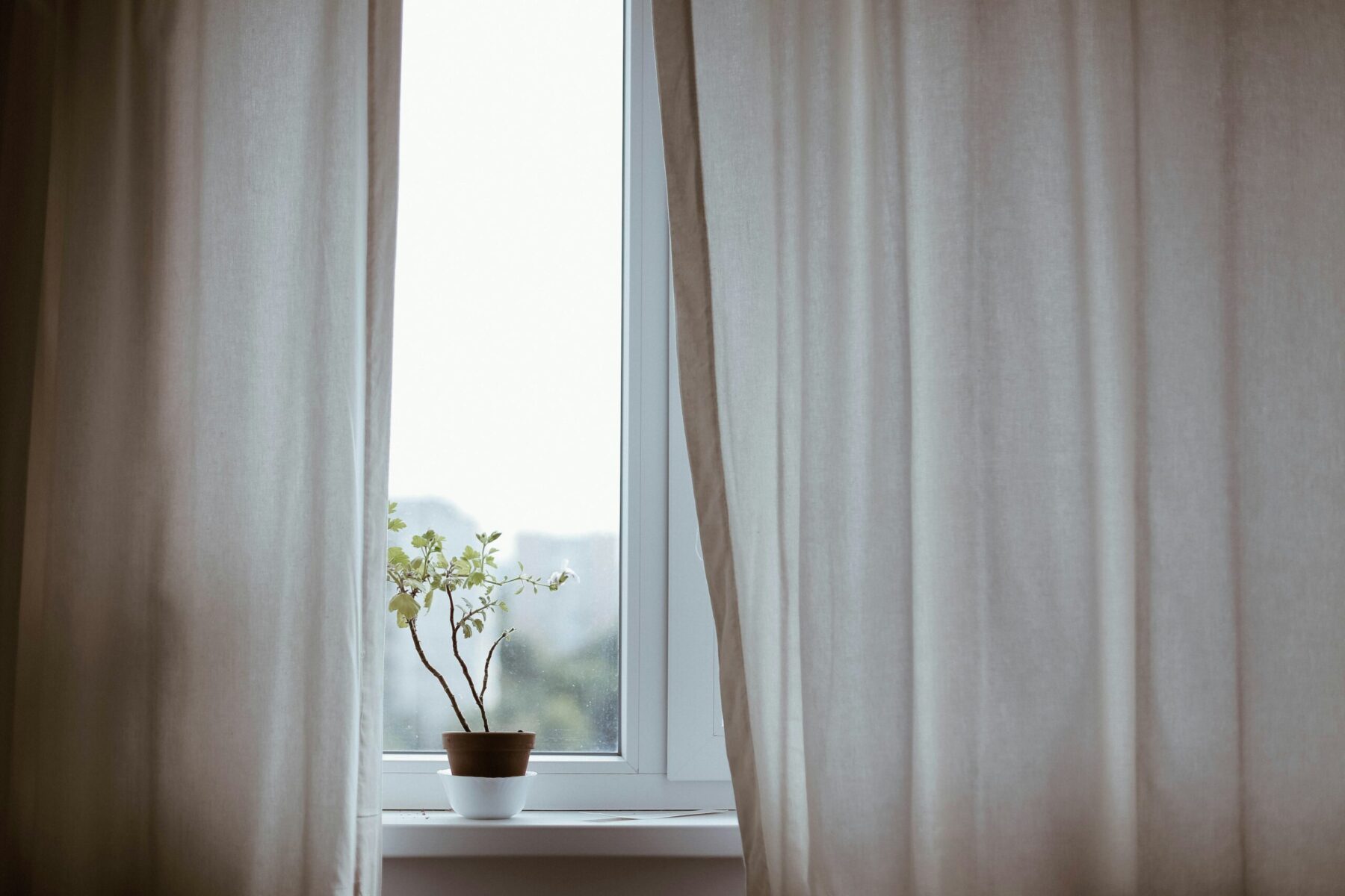 Read more about the article Window Wow: Your Guide to Choosing Fabulous Window Treatments!